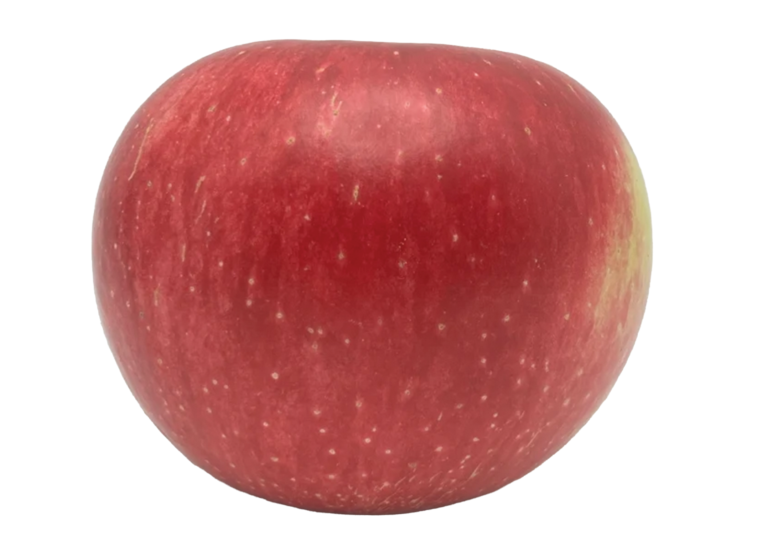 Gala apple