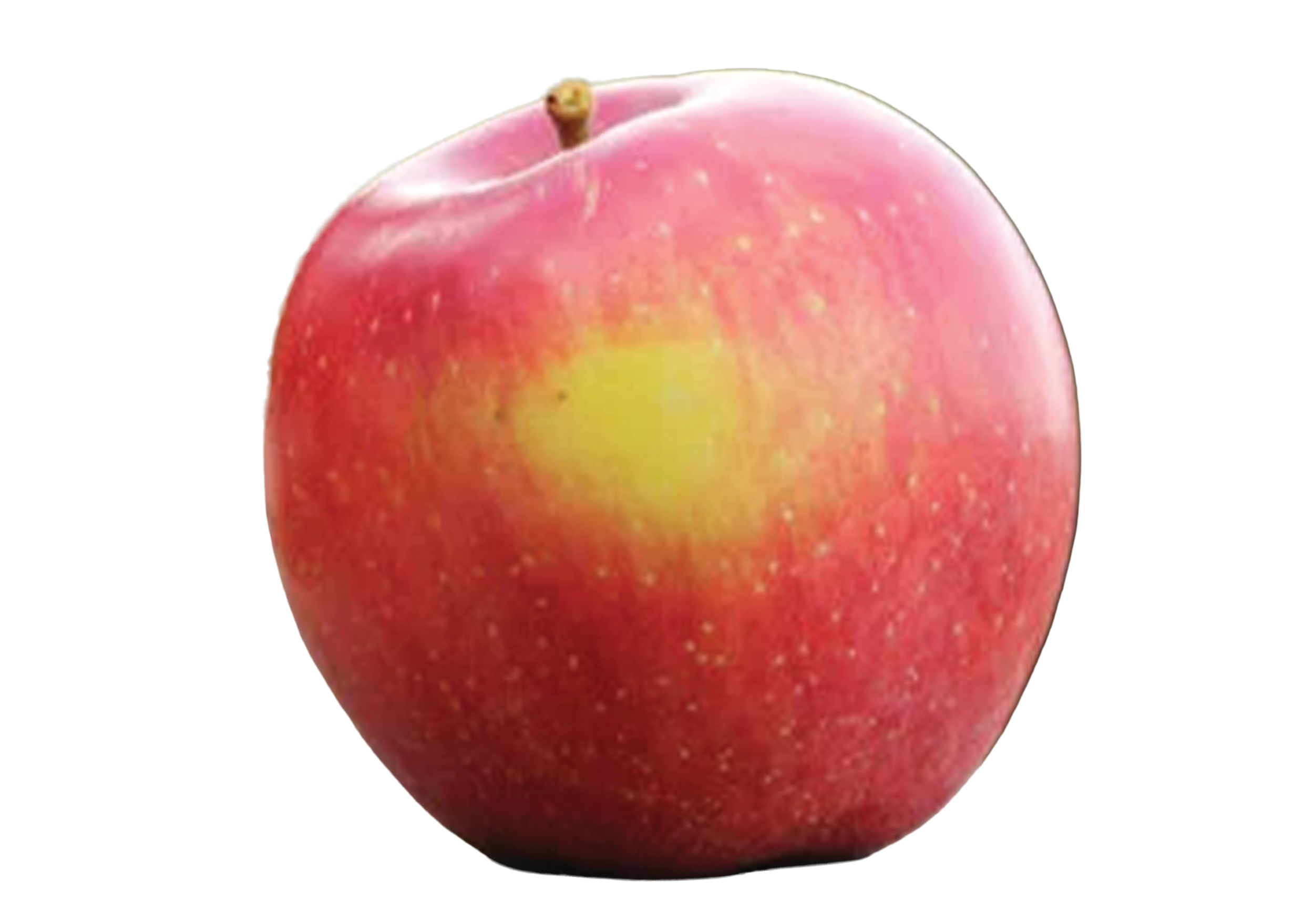 Gala apple