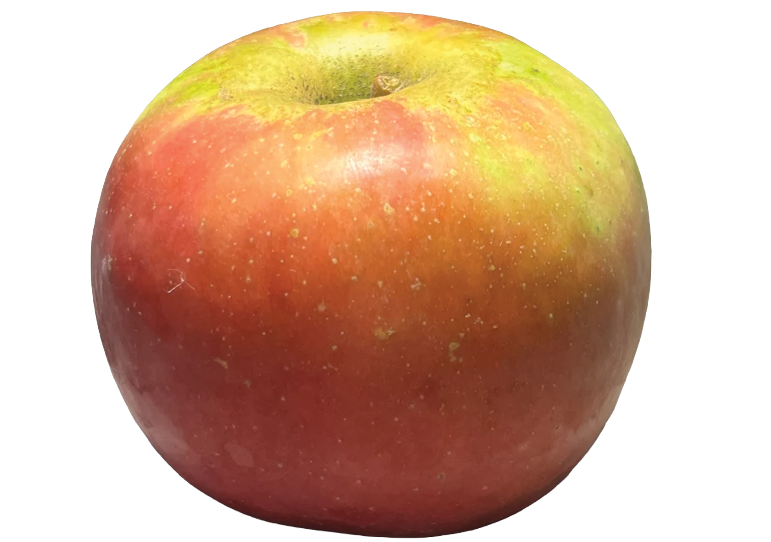Empire apple