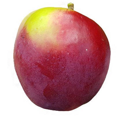 Gala apple