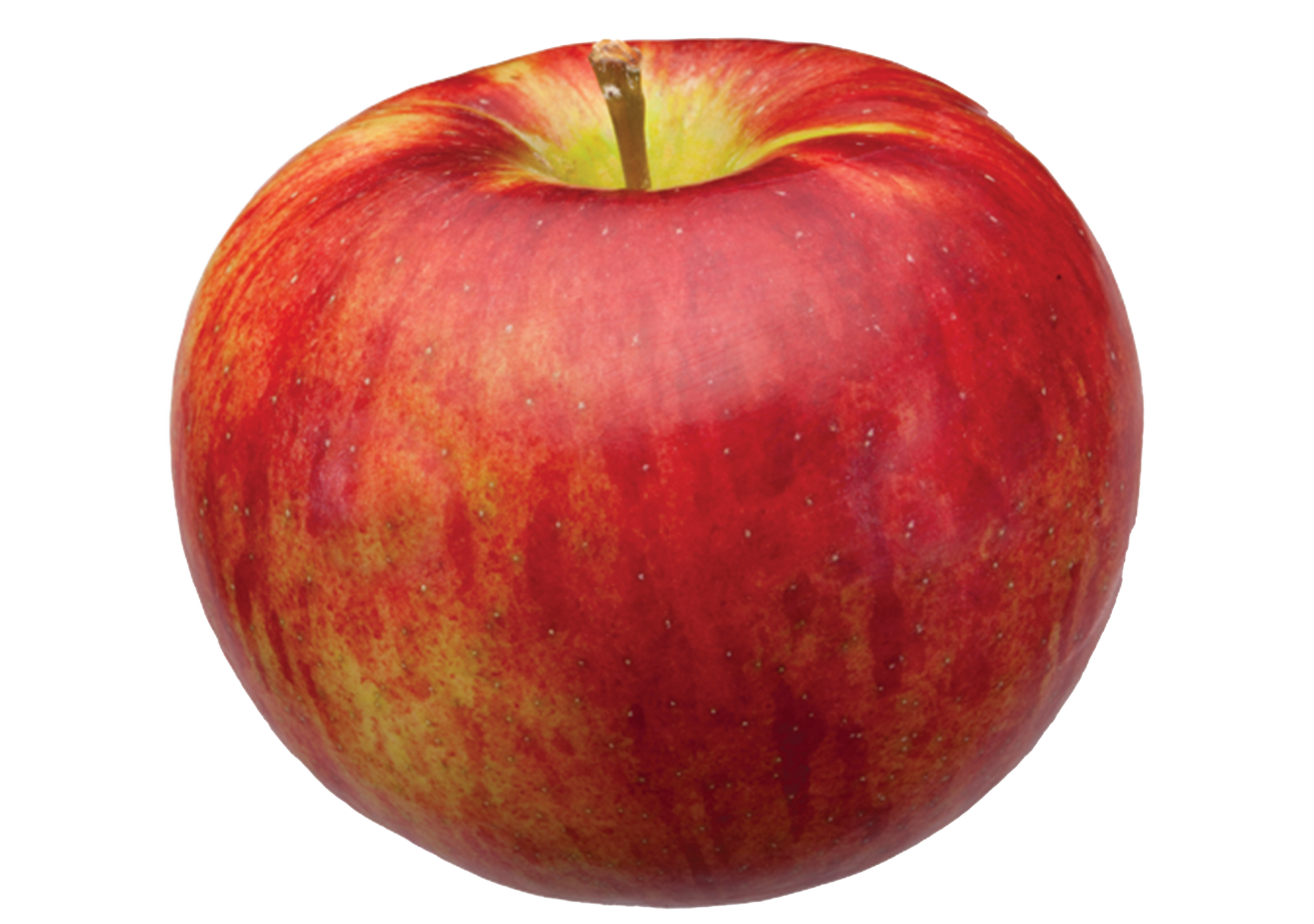 Empire apple