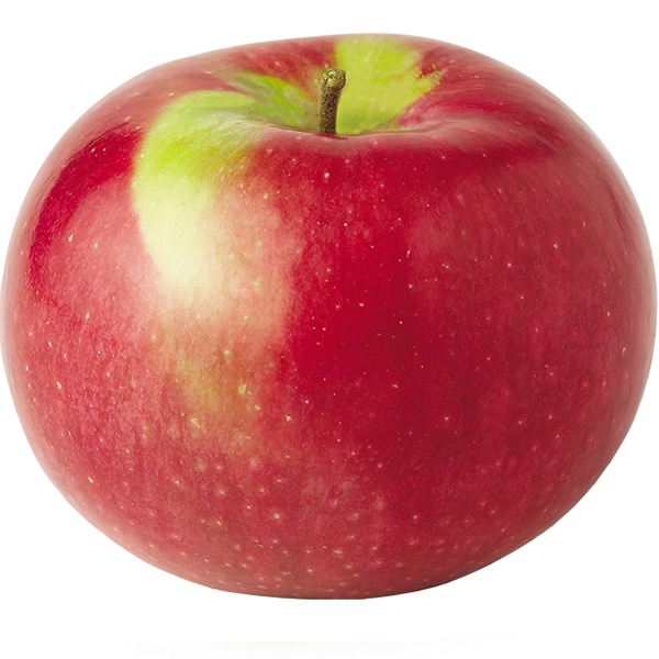 Gala apple