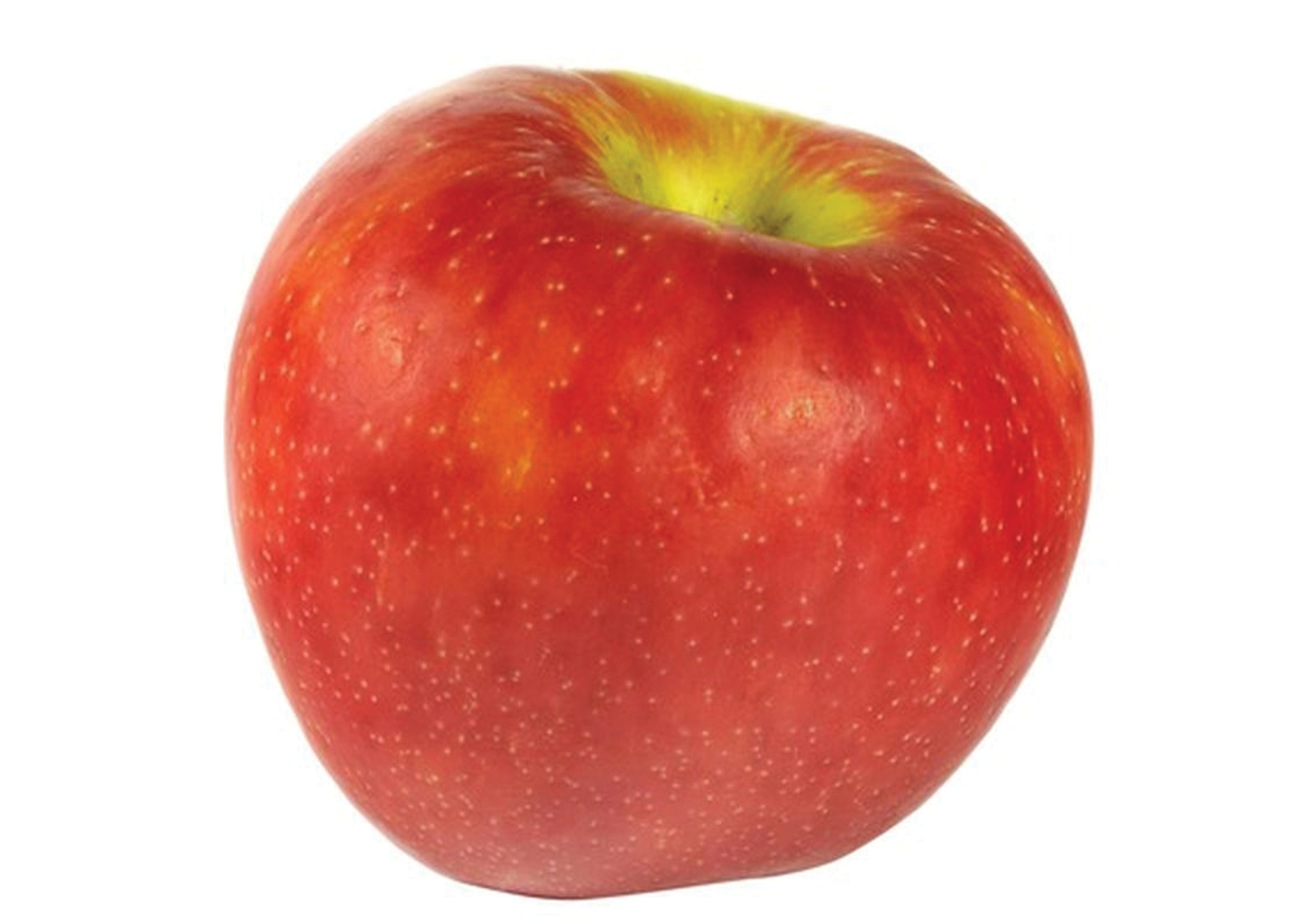 Gala apple