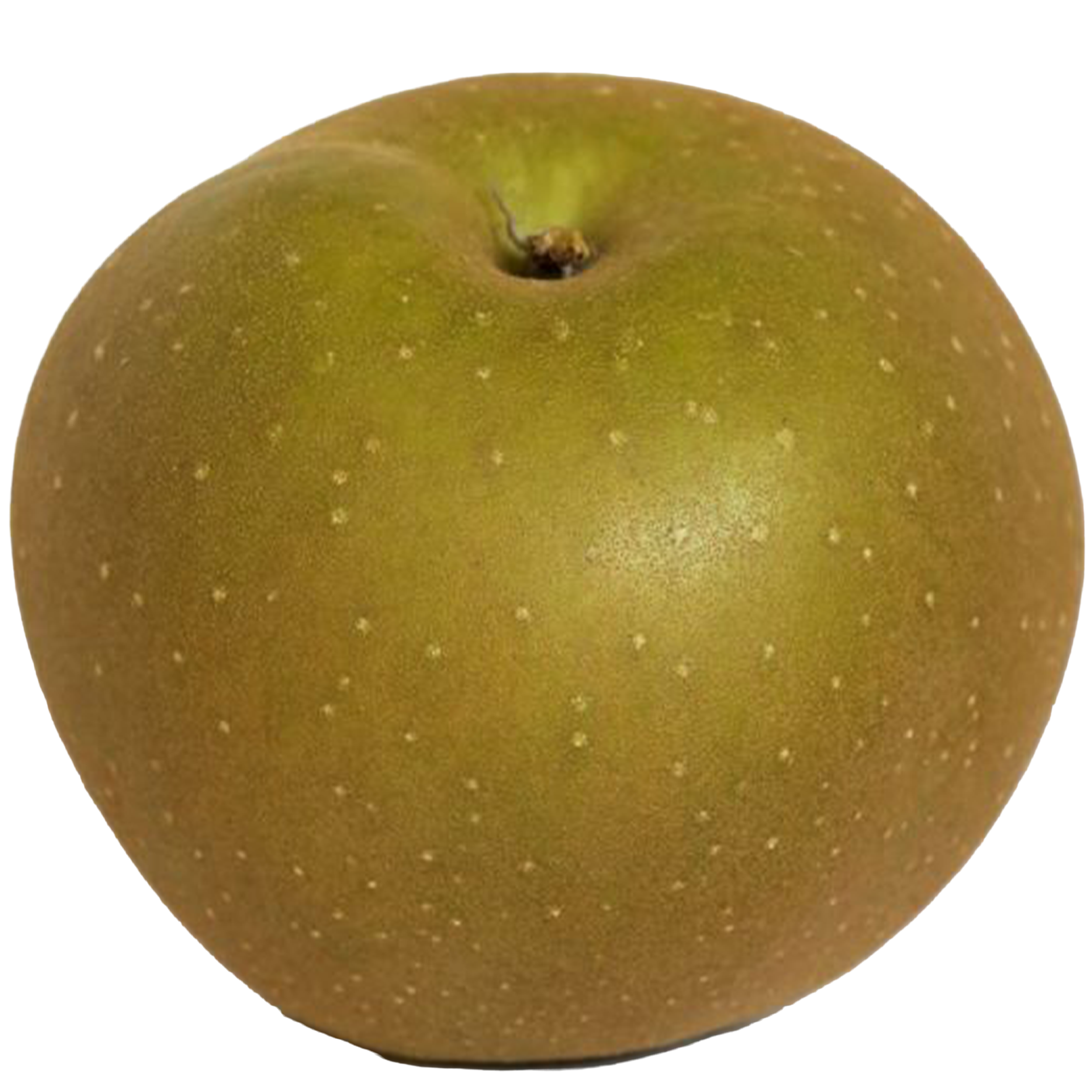Empire apple