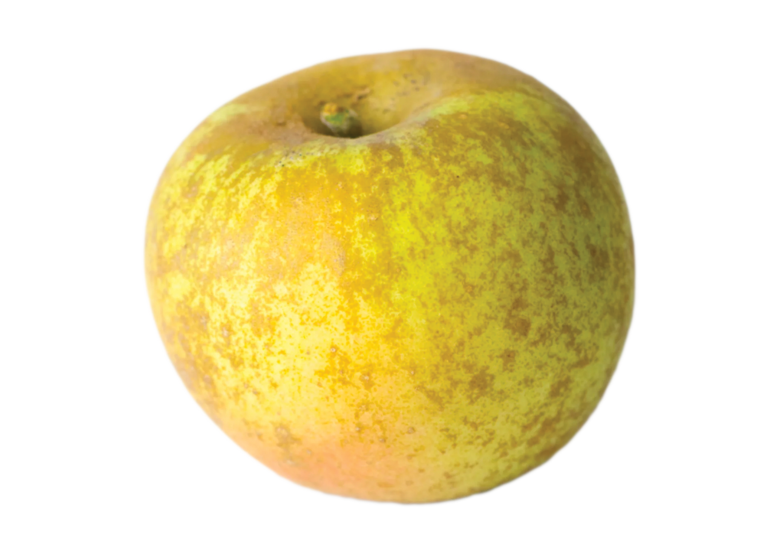 Gala apple