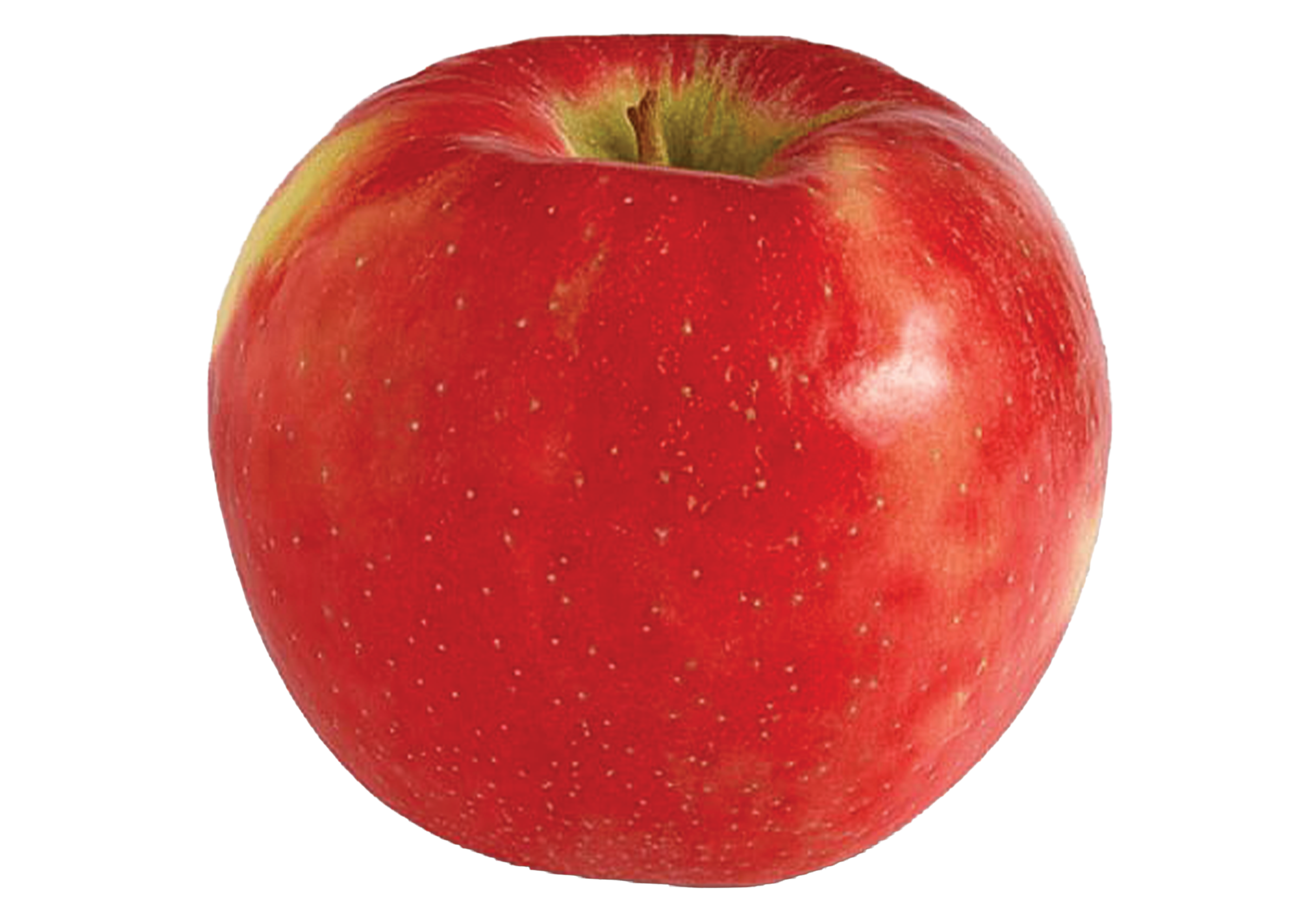 Gala apple