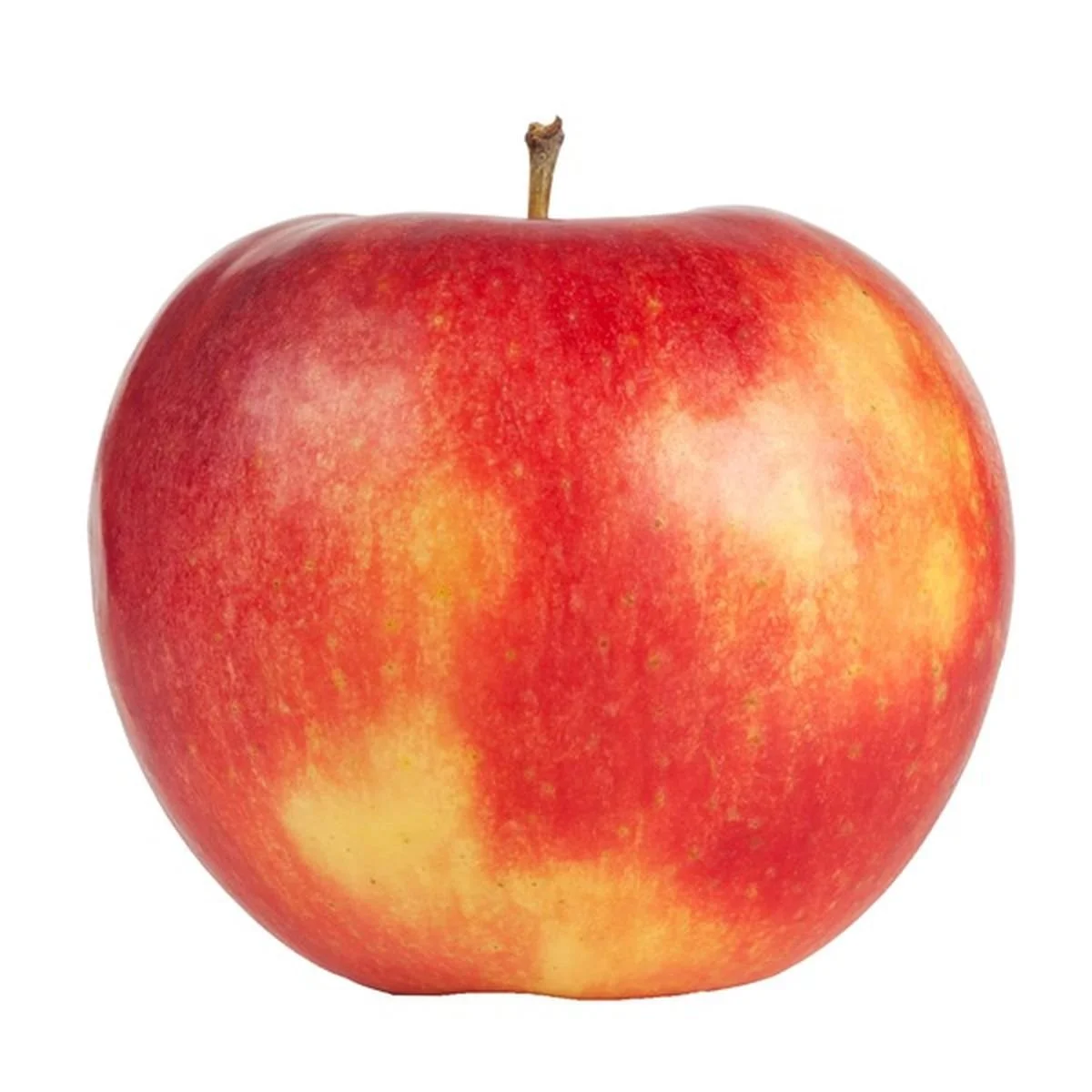 Gala apple