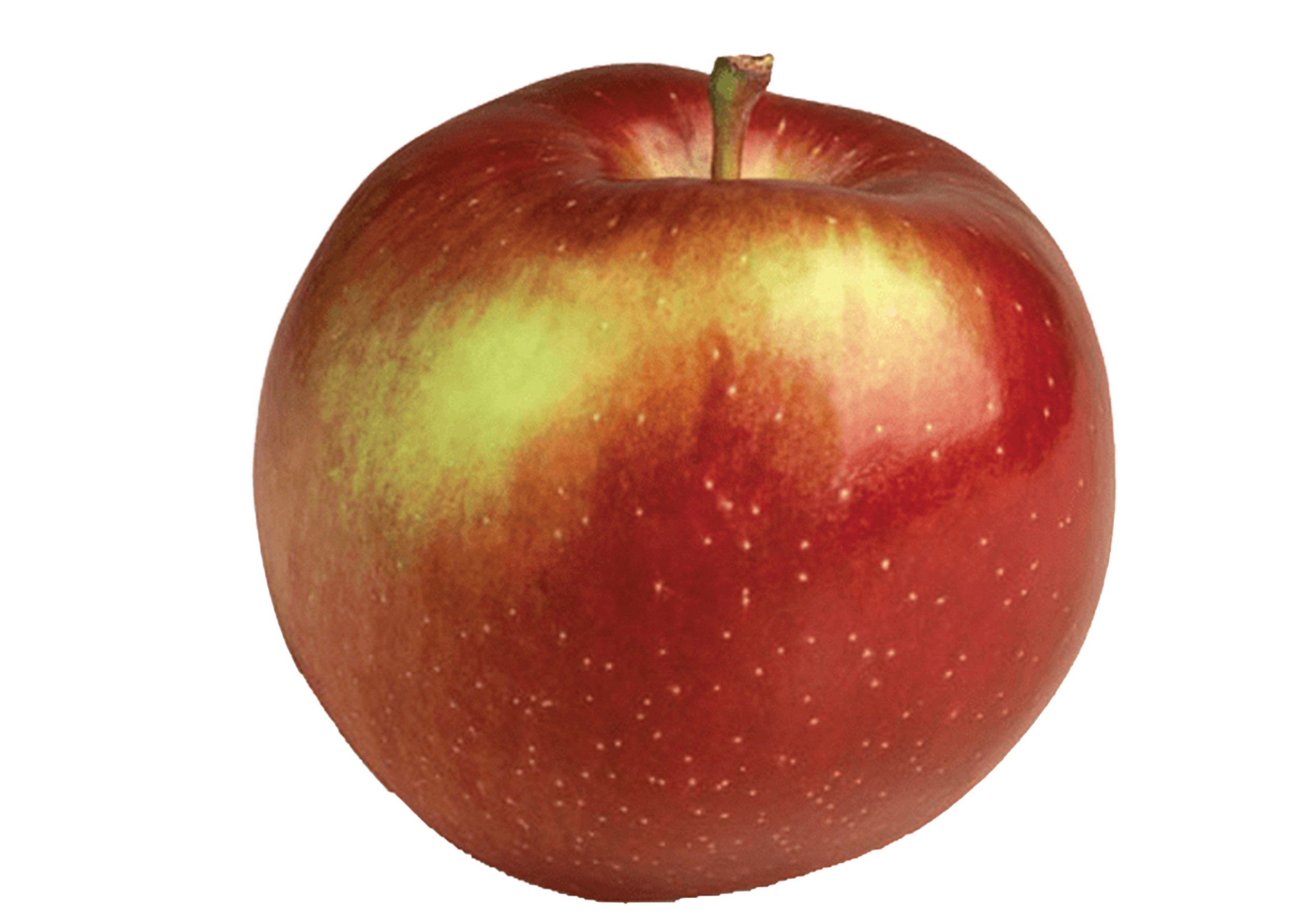 Empire apple