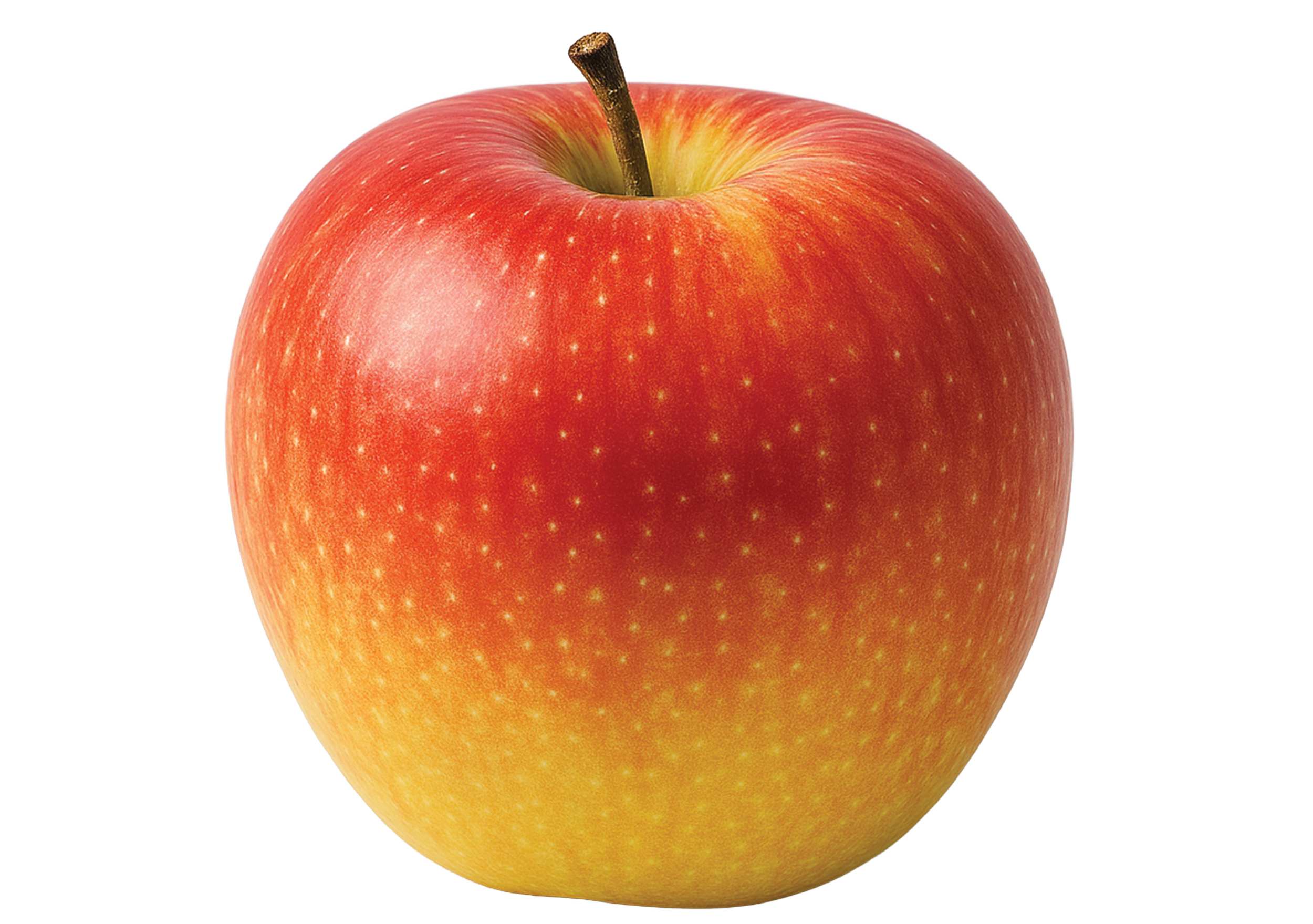 Gala apple