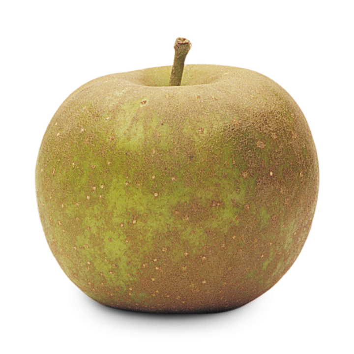 Gala apple