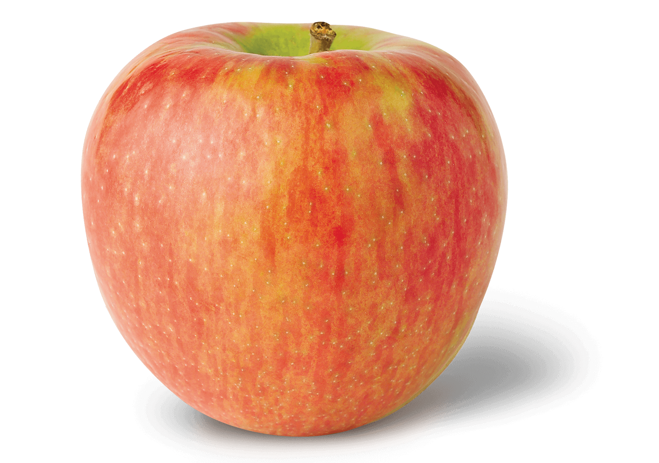 Honeycrisp apple