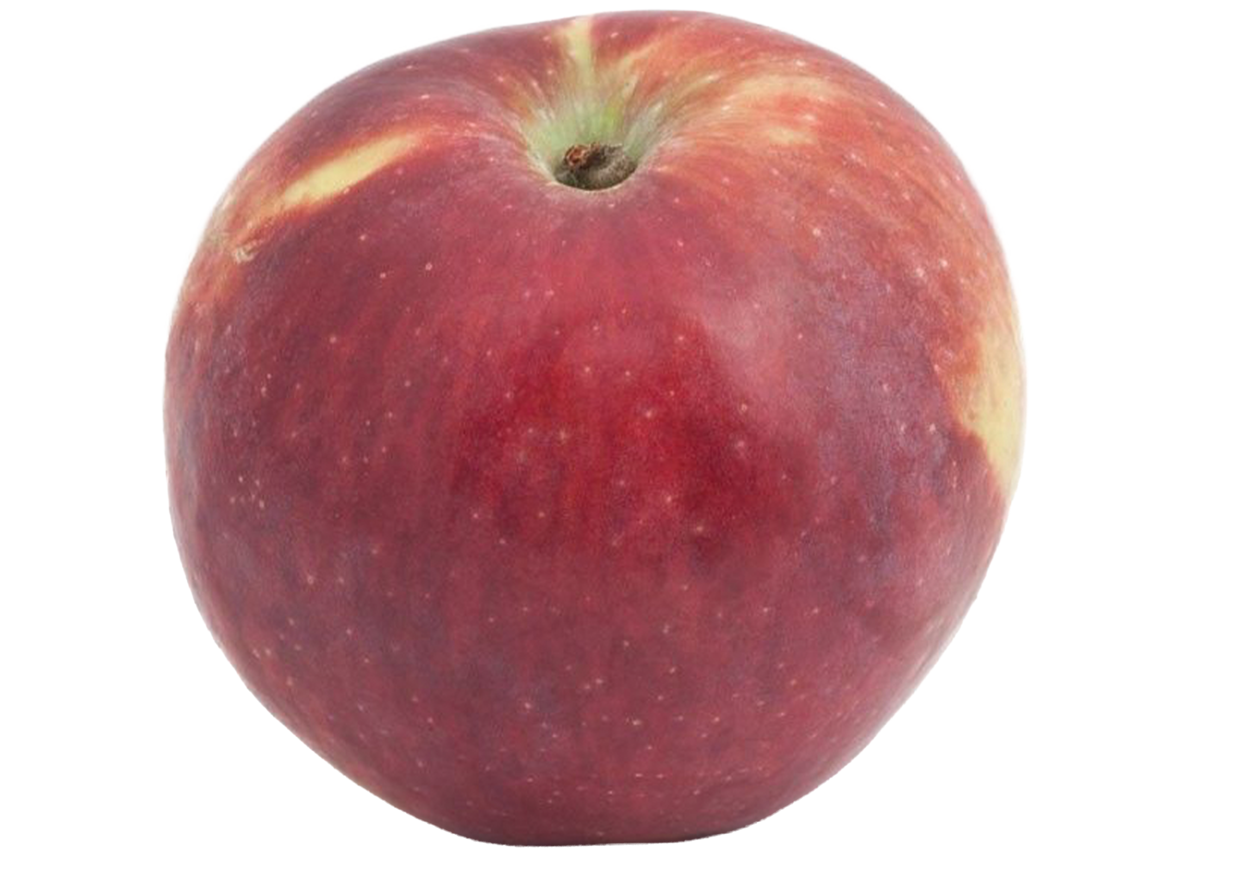 Gala apple