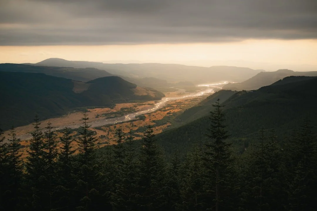 Sunlight falling across a river valley between wooded hills