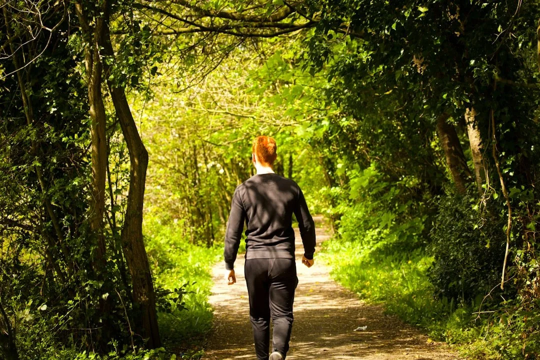 A person walking away along a sunlit green woodland path