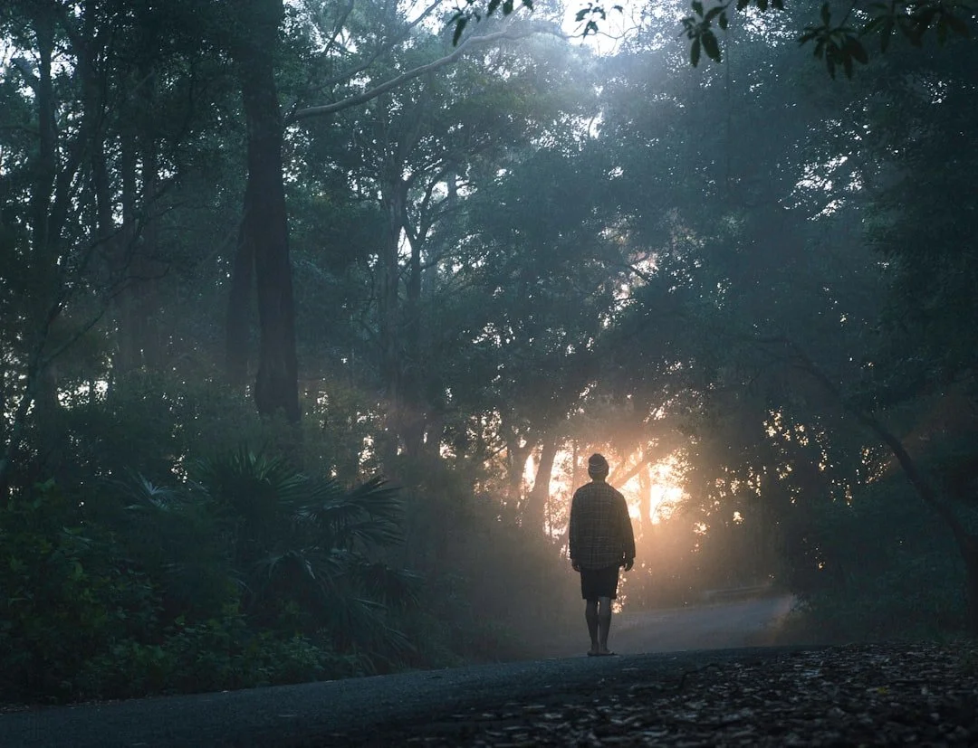 A person walking along a misty forest path toward sunlight