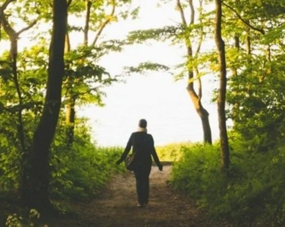 A wooded path opening into daylight