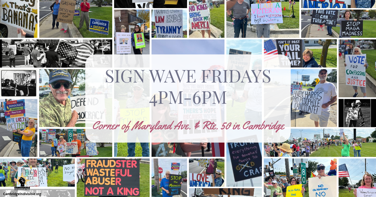 Sign Wave Fridays