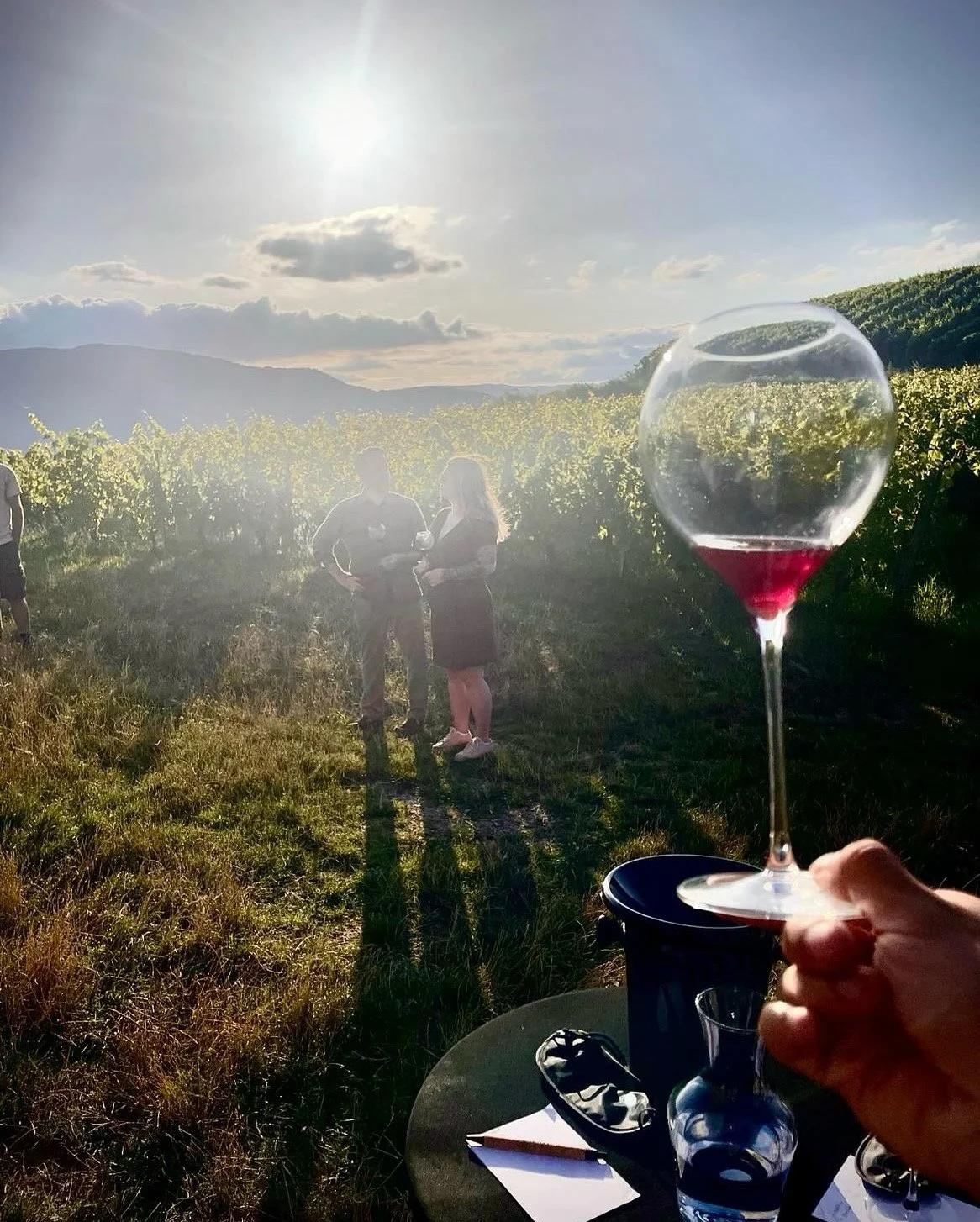 Dégustation immersive Beneath – Story Teller autour du vin en Savoie