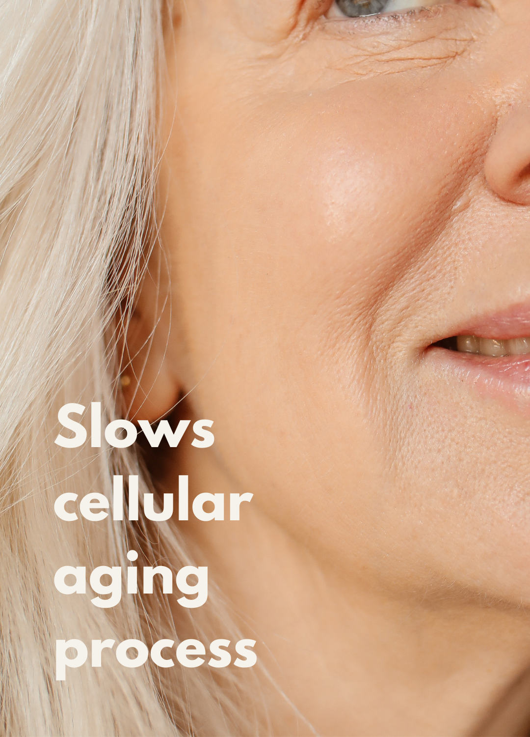 Slows cellular aging process