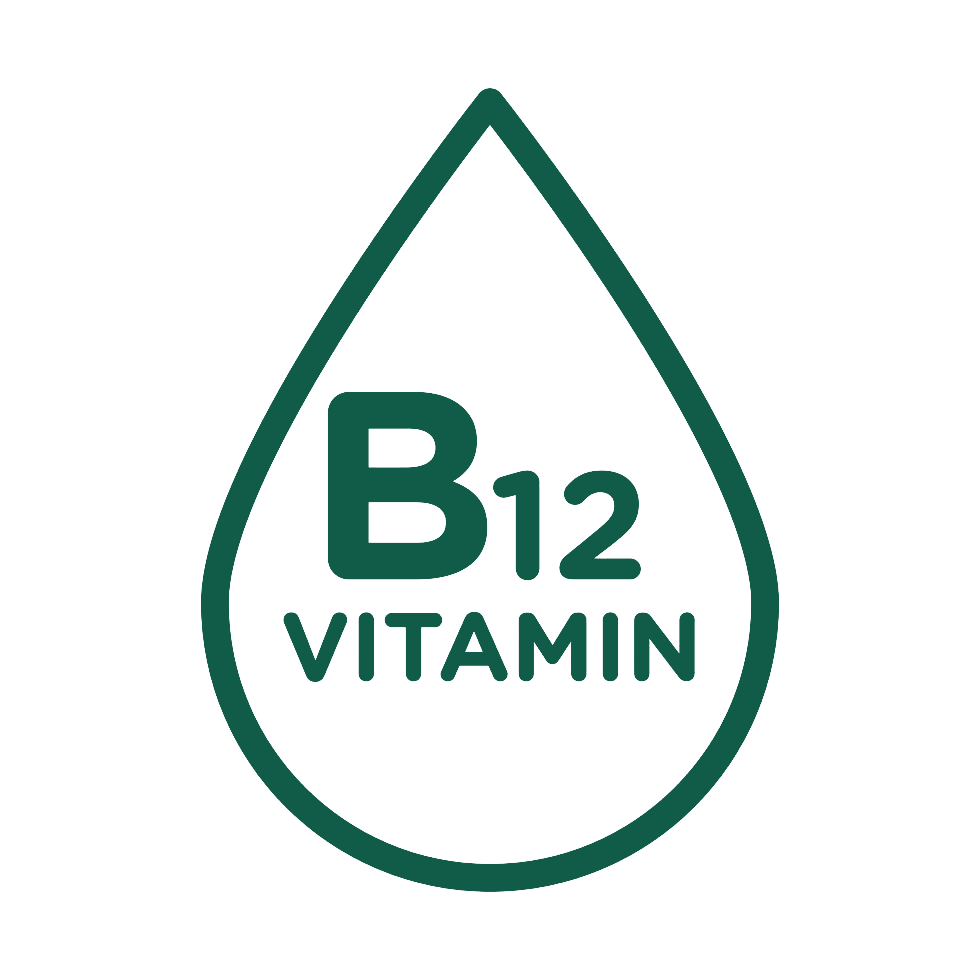 Vitamin B12 icon