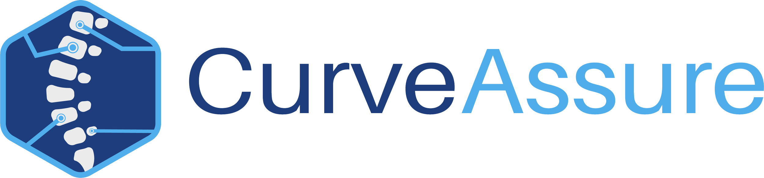 Company Name