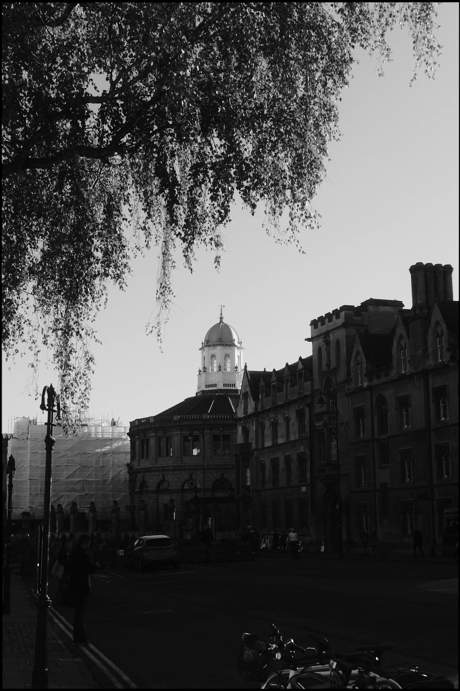 Black and white view of a domed building framed by hanging autumn leaves.