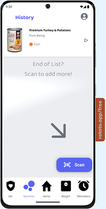 Phone Mockup