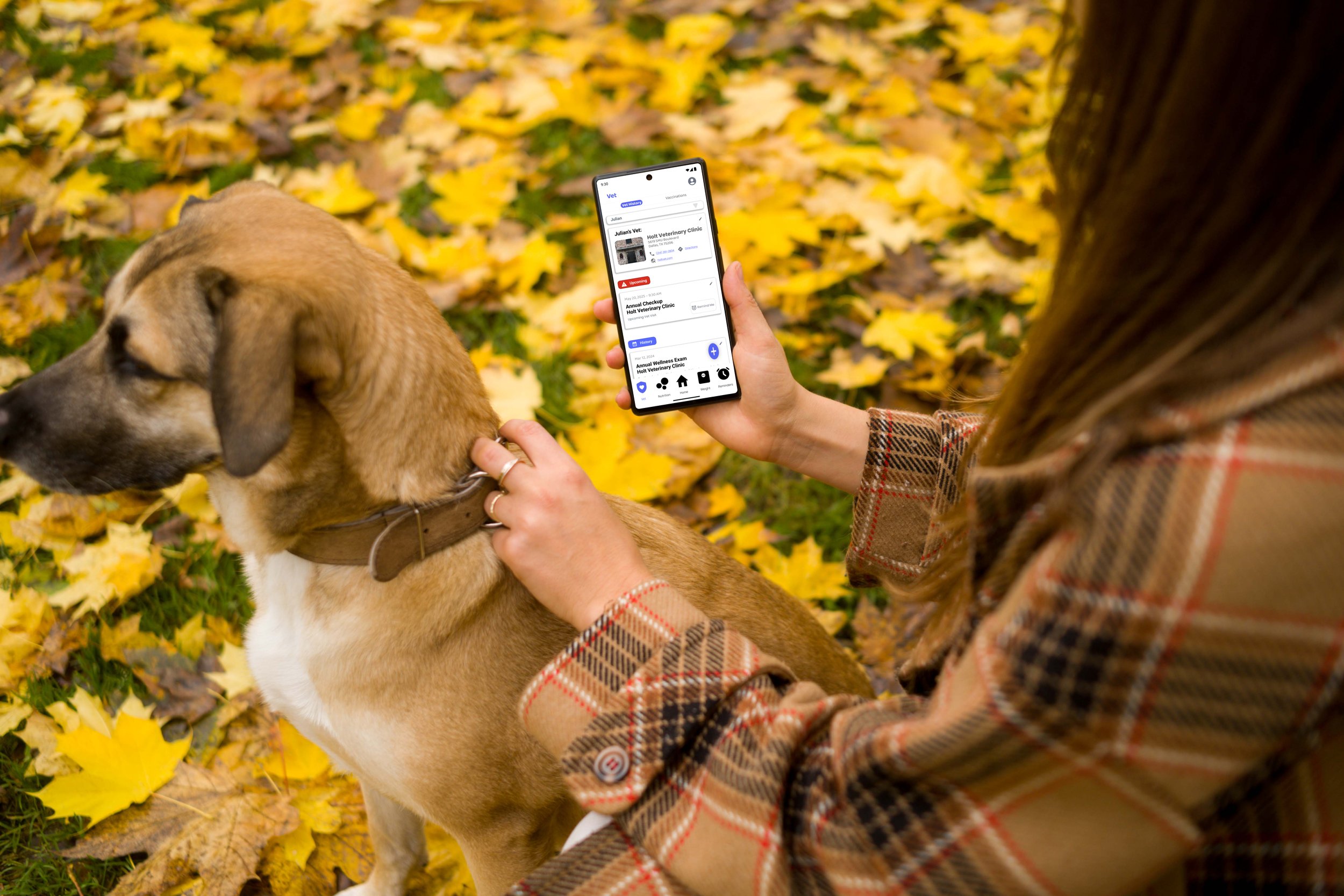 Phone mockup with dog