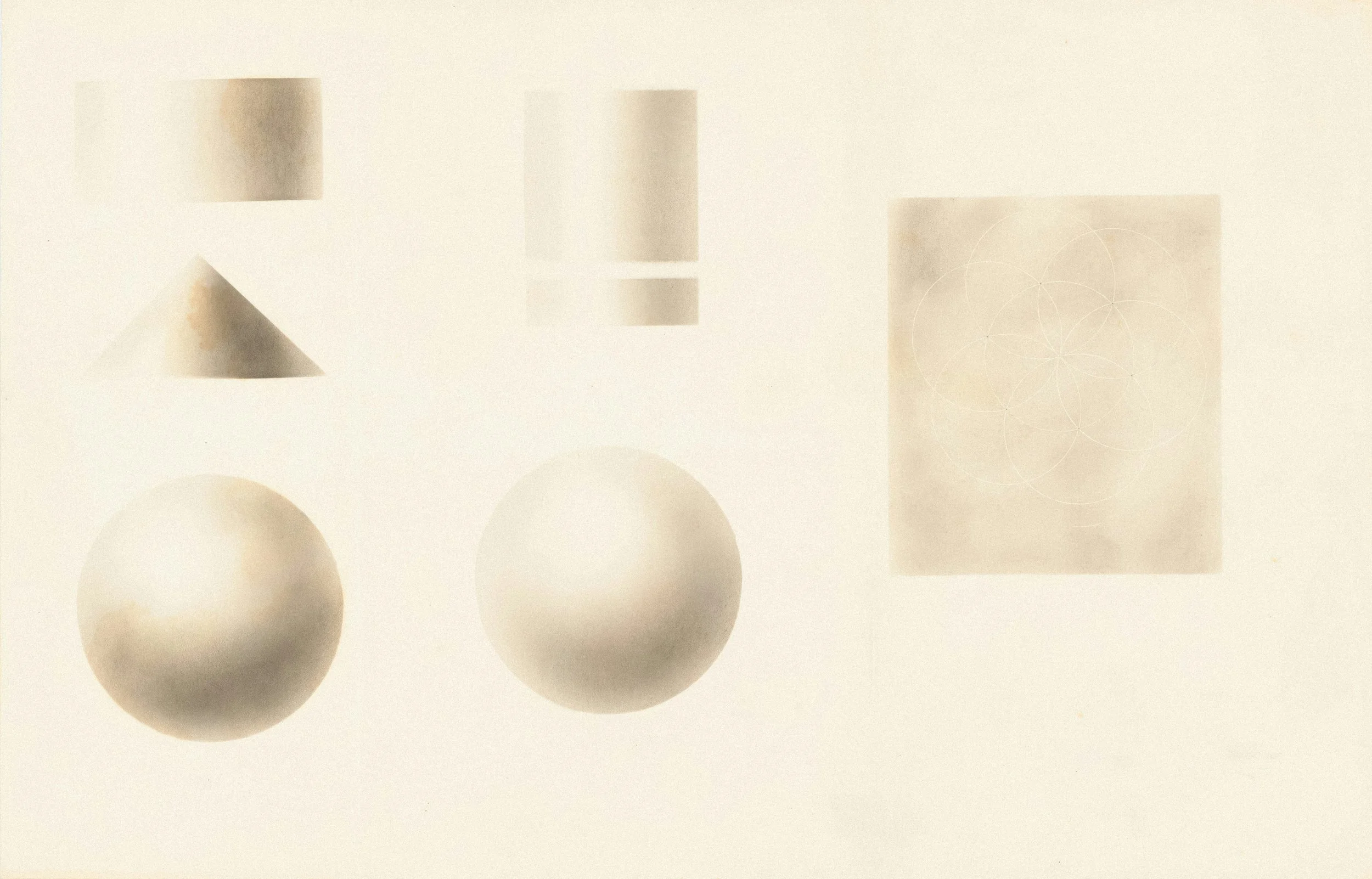 Abstract fluid symmetry artwork