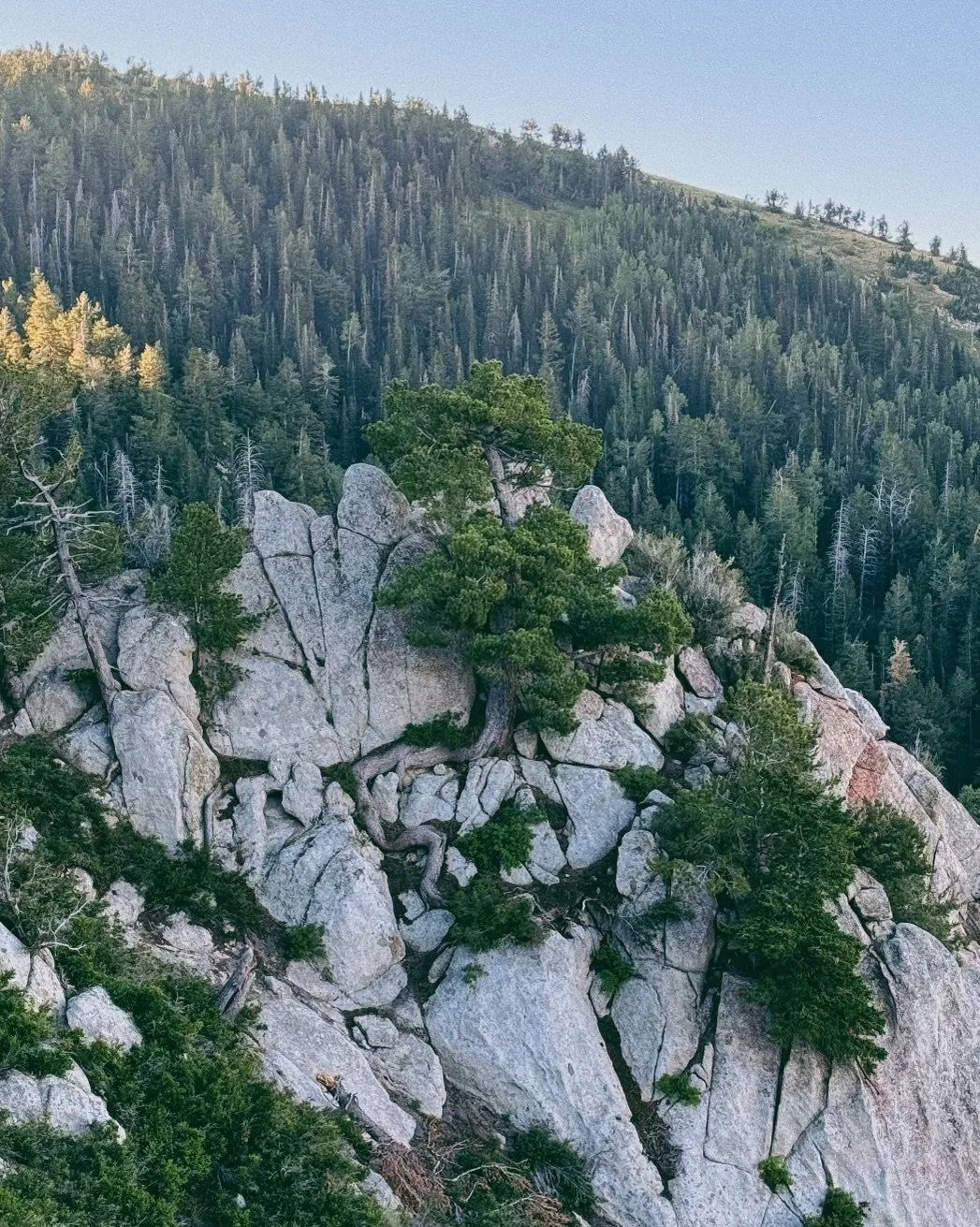 Runner on ridge
