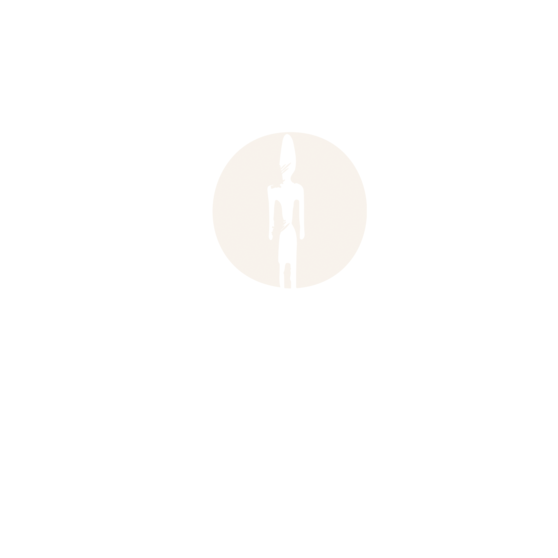 Logo Animation