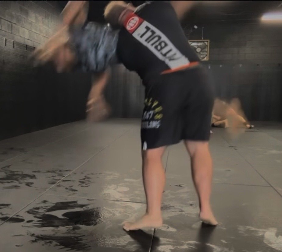Grappling training partners
