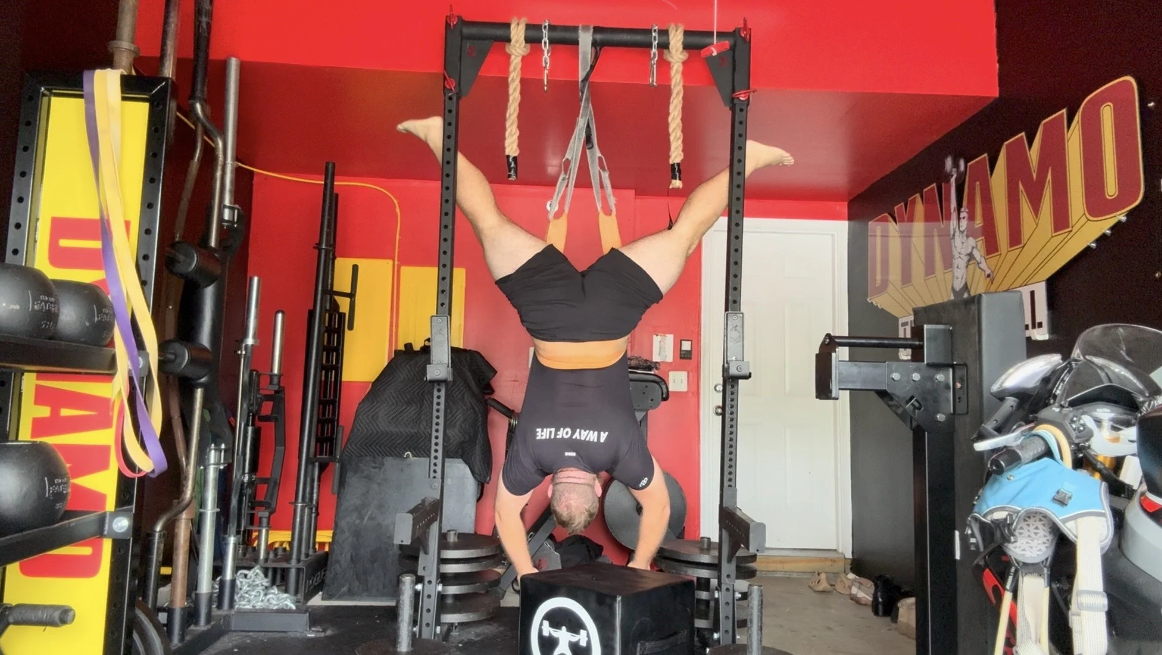 Strength training at Dynamo