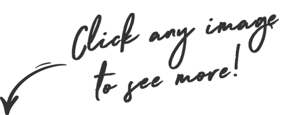 Click to reveal the full project