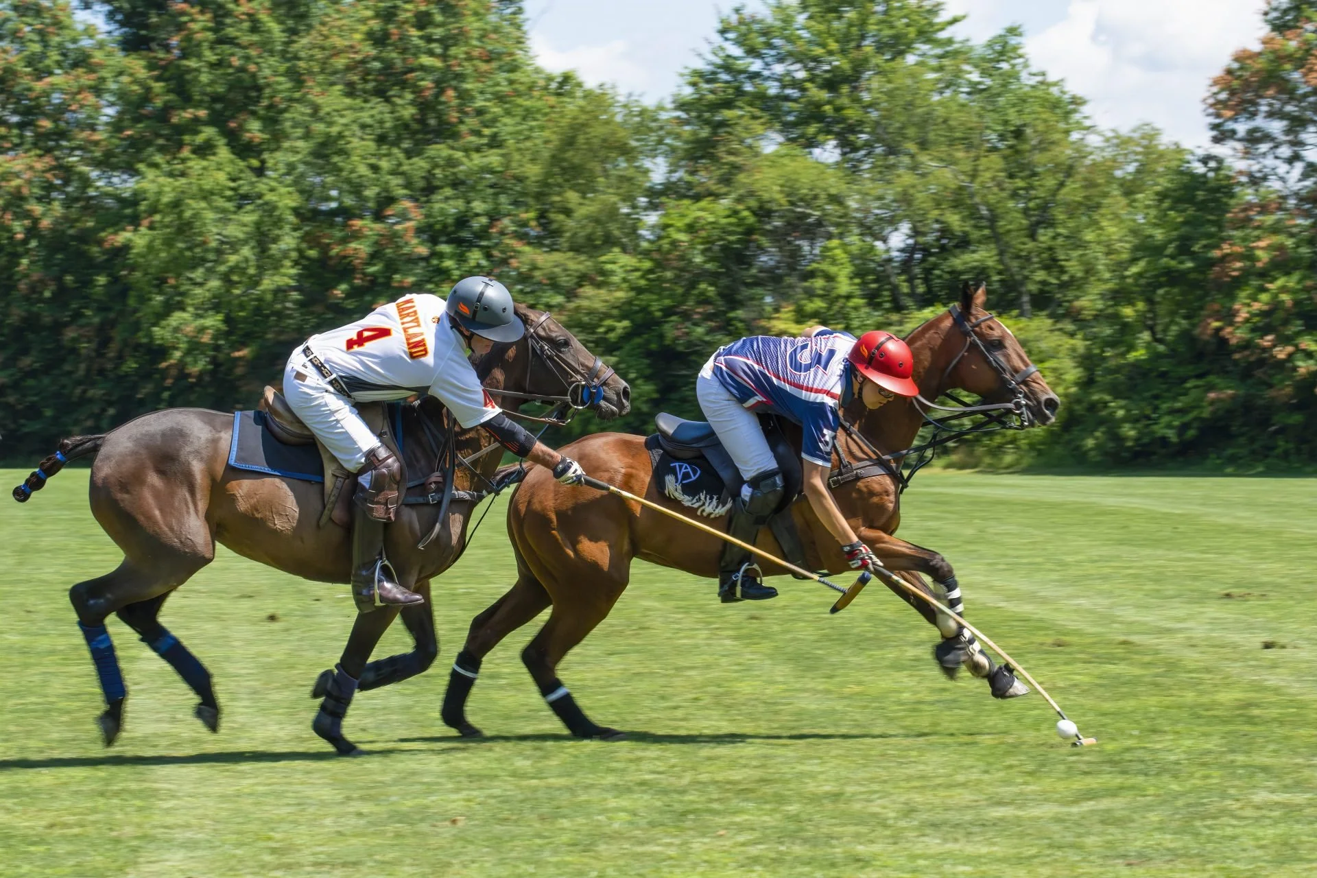 Polo and Steeplechase