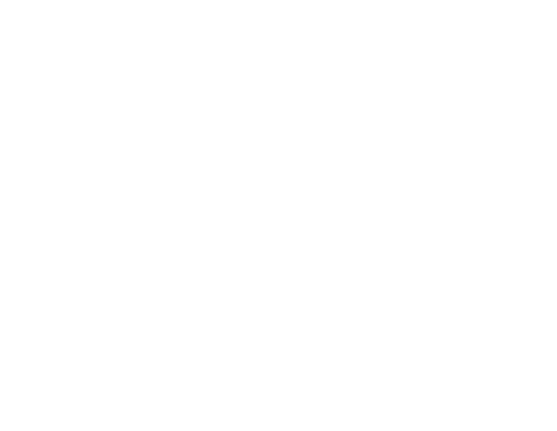 Silver Spiffy
