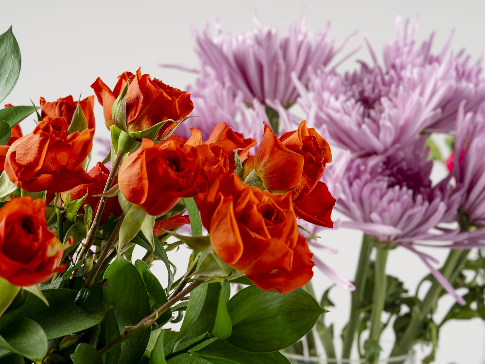 Atlanta Flower Club Cover
