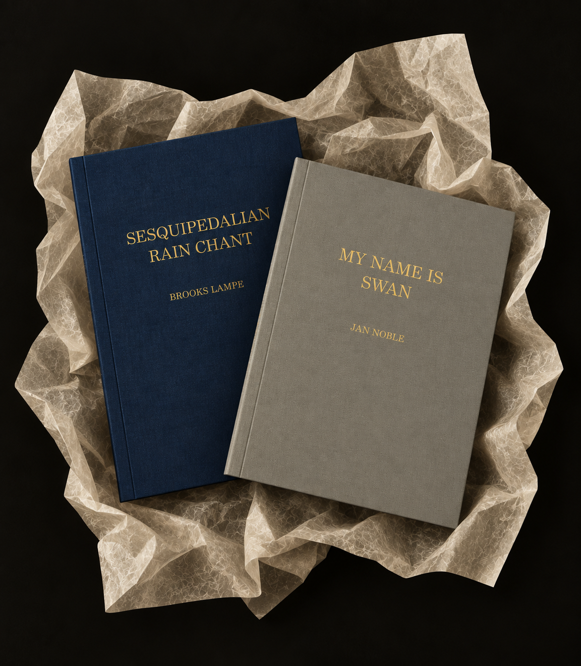 2x Book Bundle — Sesquipedalian Rain Chant & My Name Is Swan