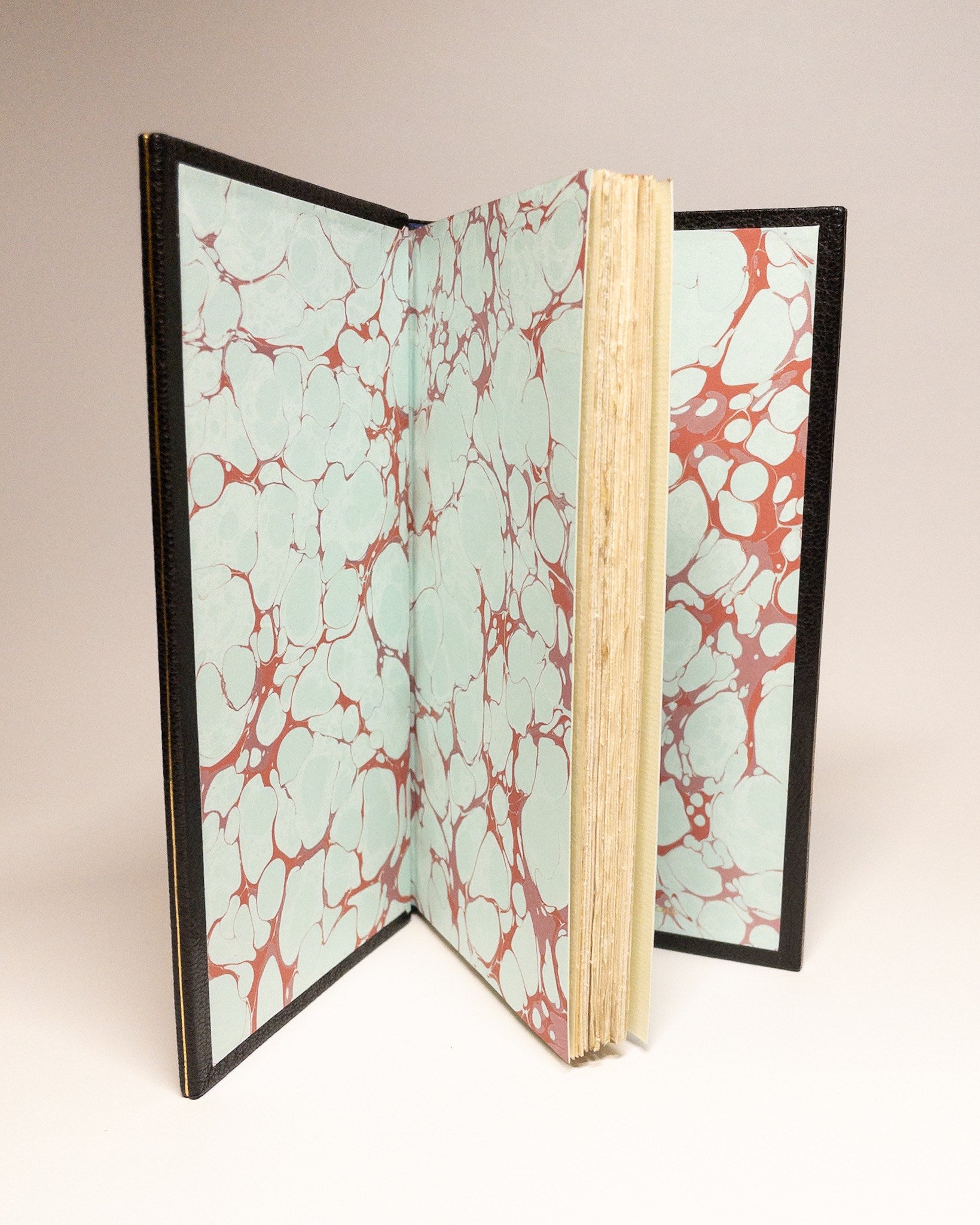 Fine art edition — open binding