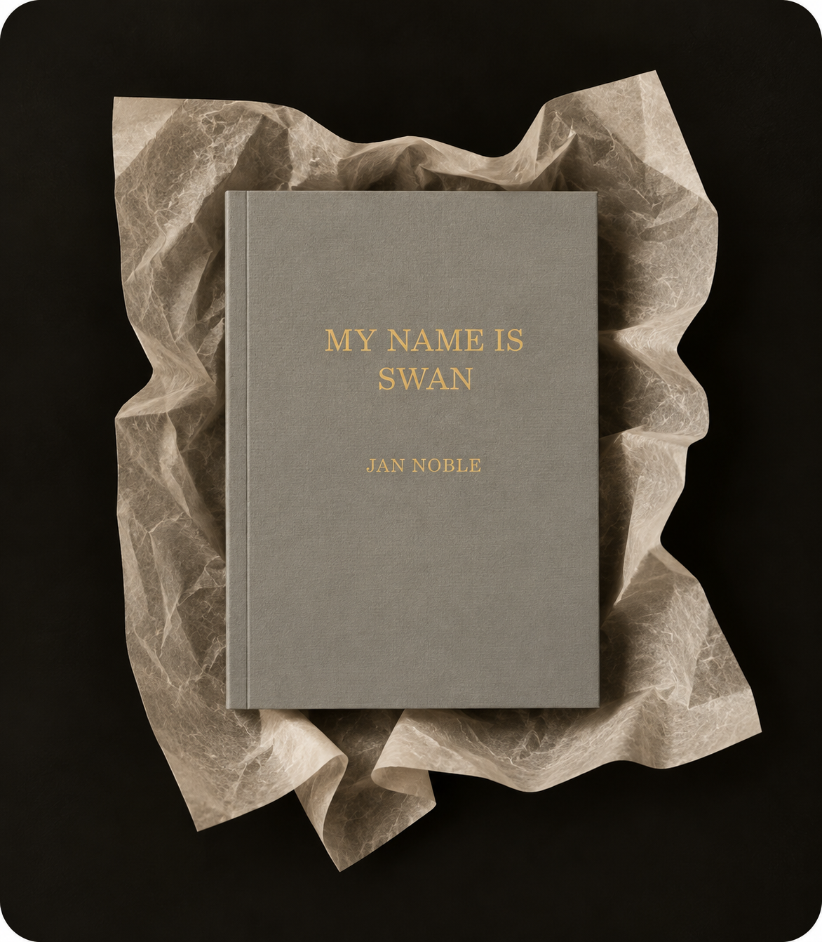 My Name Is Swan by Jan Noble — book cover