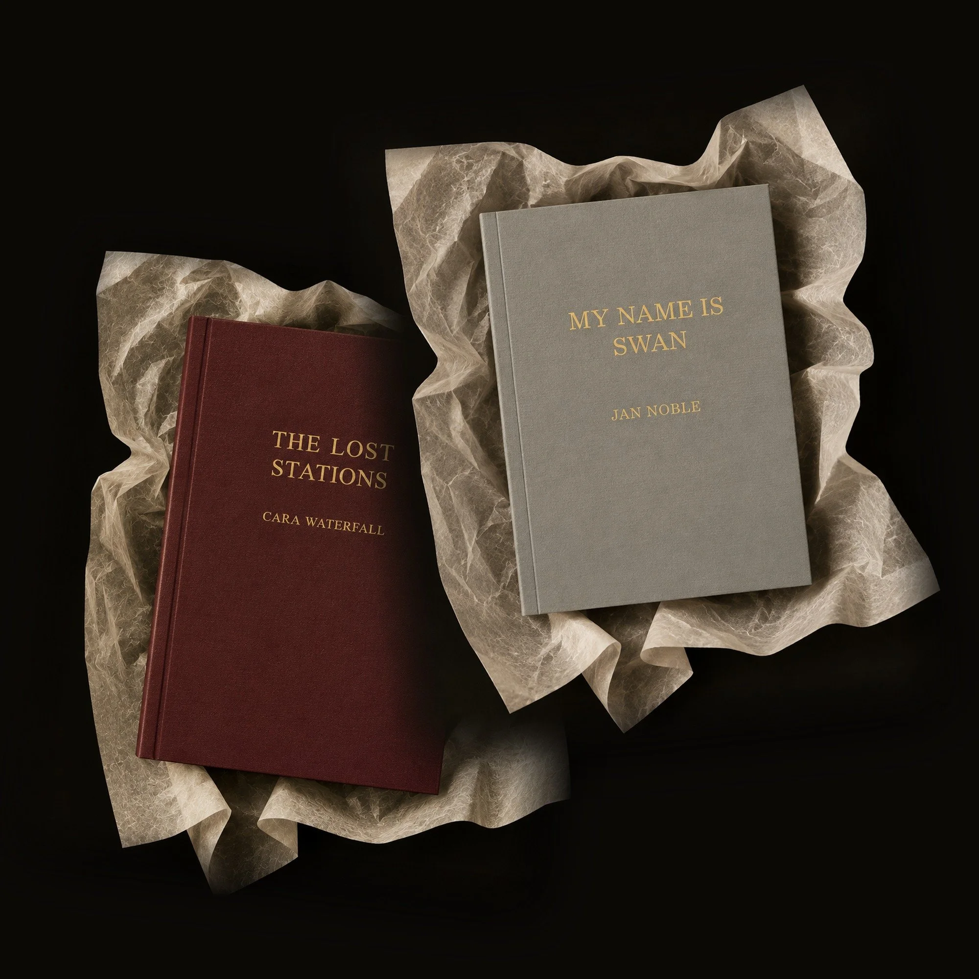 2x Book Bundle — My Name Is Swan & The Lost Stations