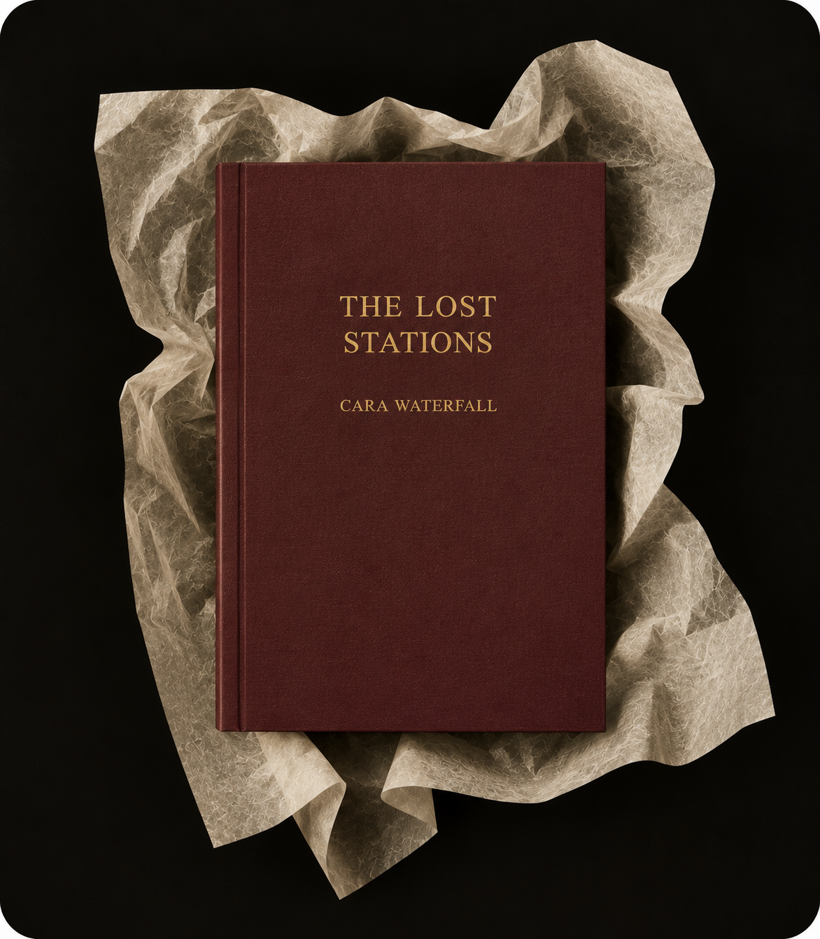 The Lost Stations by Cara Waterfall book cover