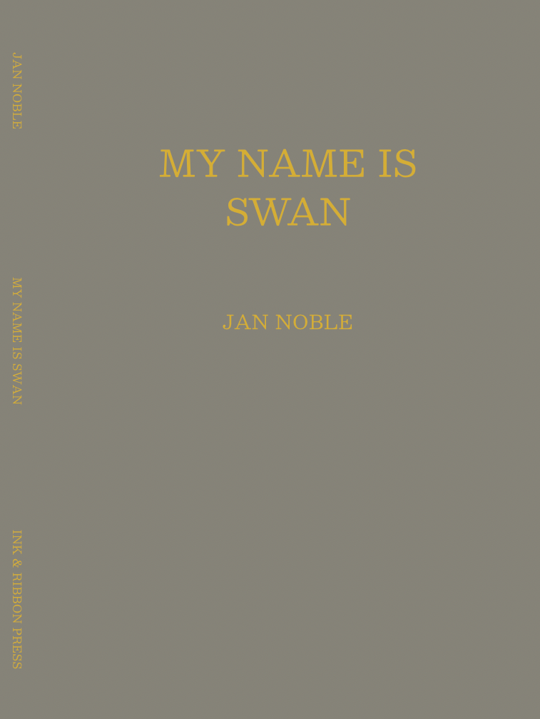 My Name Is Swan by Jan Noble book cover