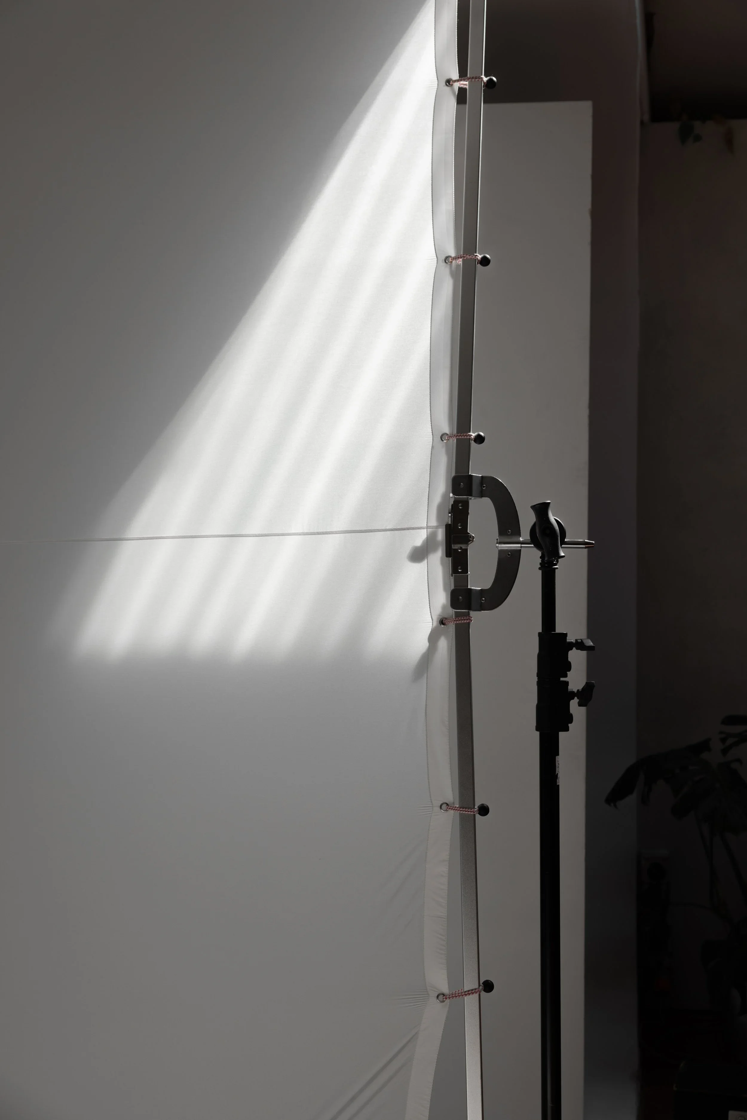 Studio light