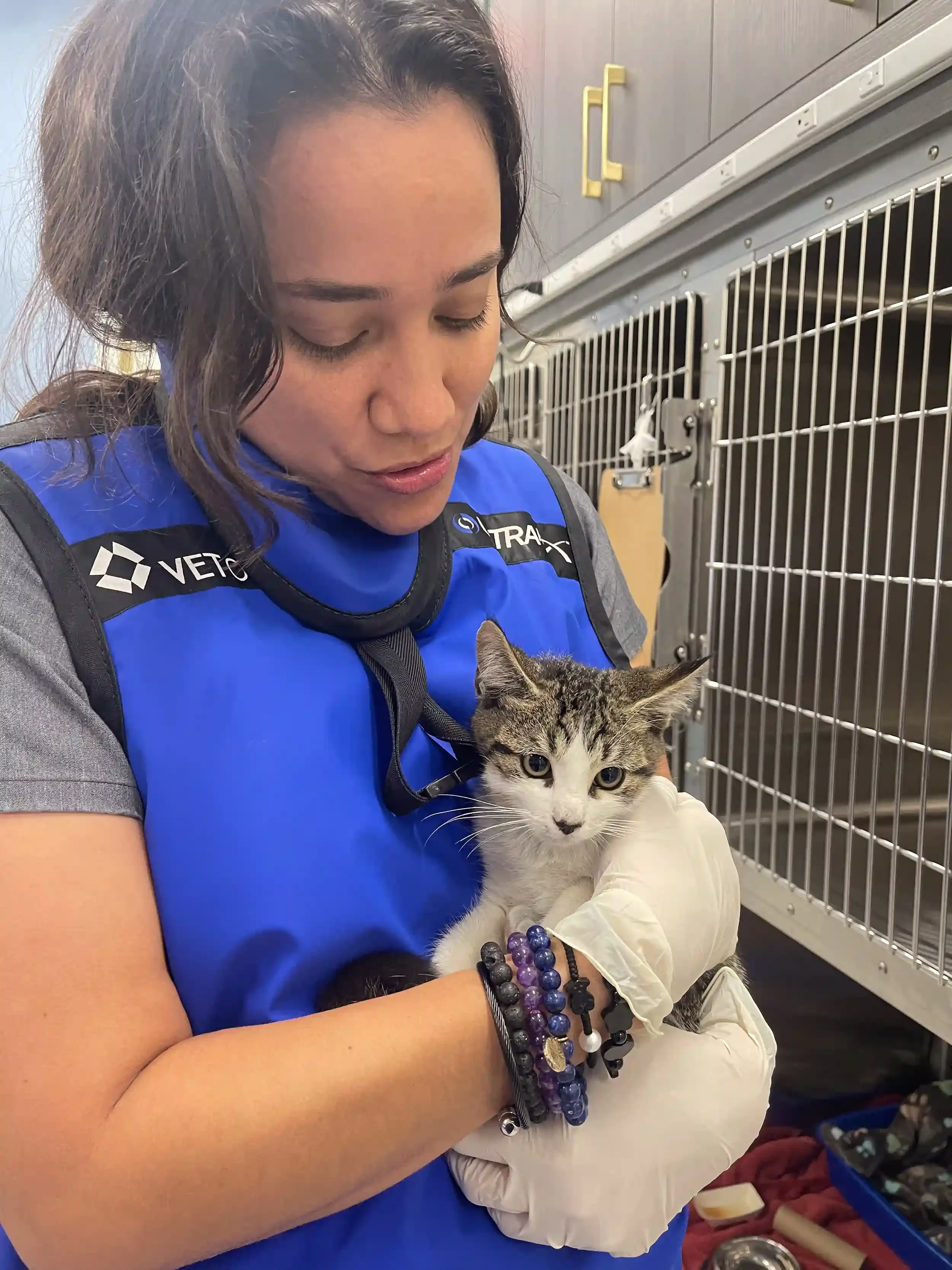 Mandy giving updates to pet parents