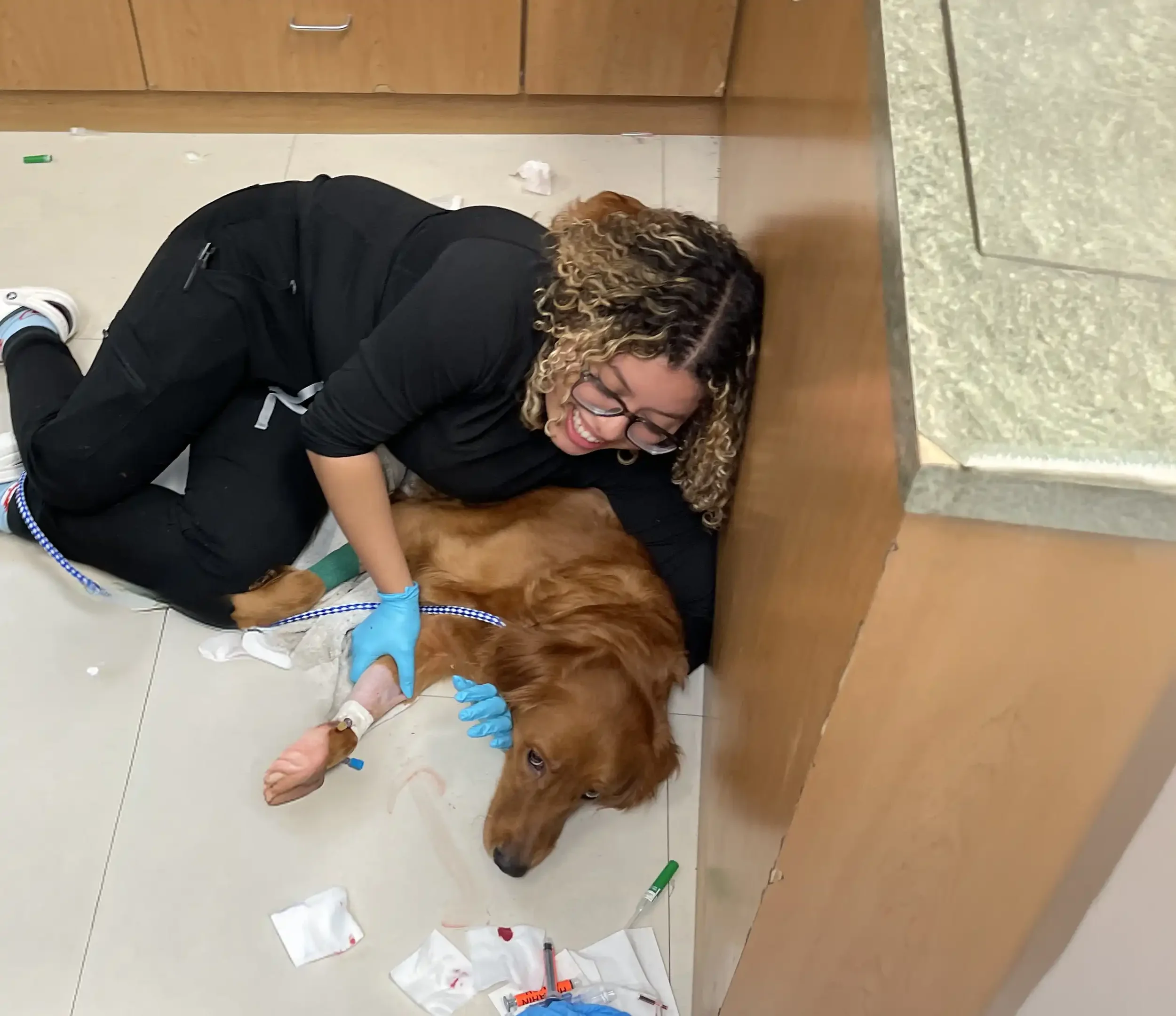 Gabriela working with a pet as a veterinary technician in Miami