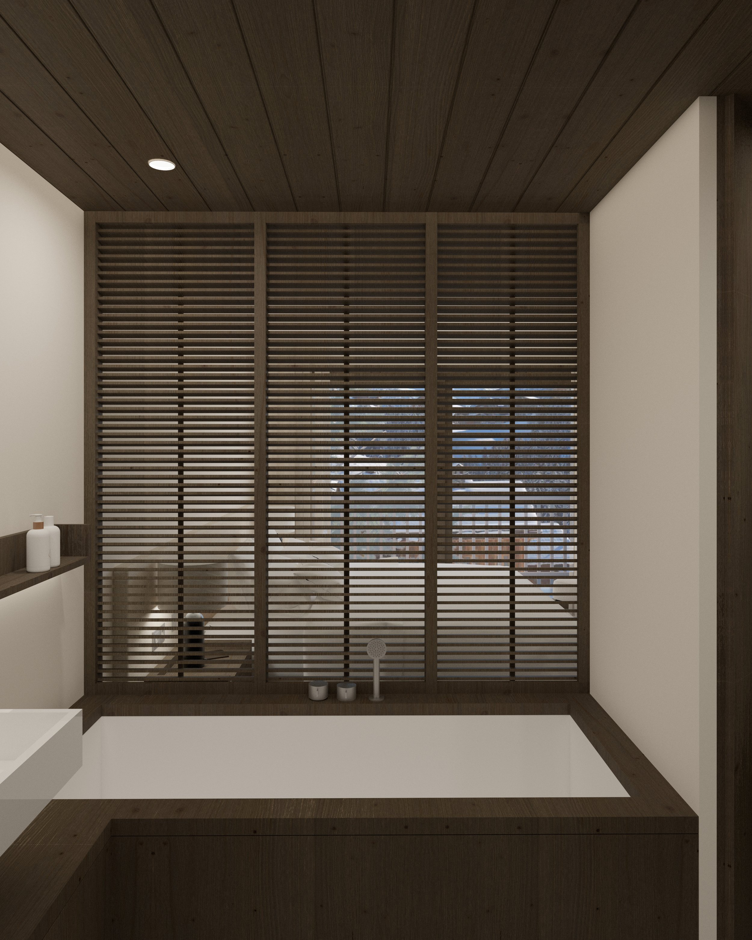 Project 1 Image 5