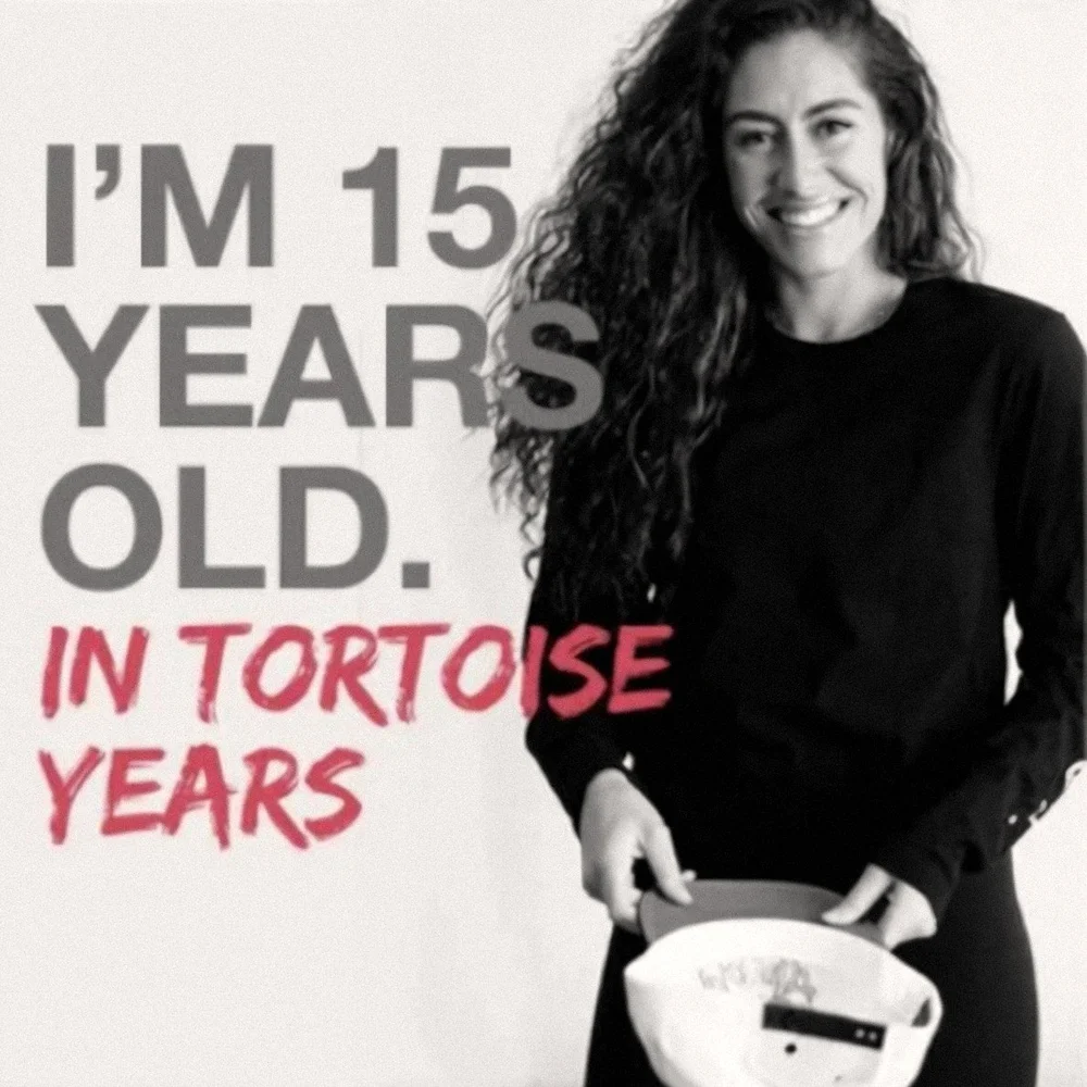 I’m 15 years old, in tortoise years