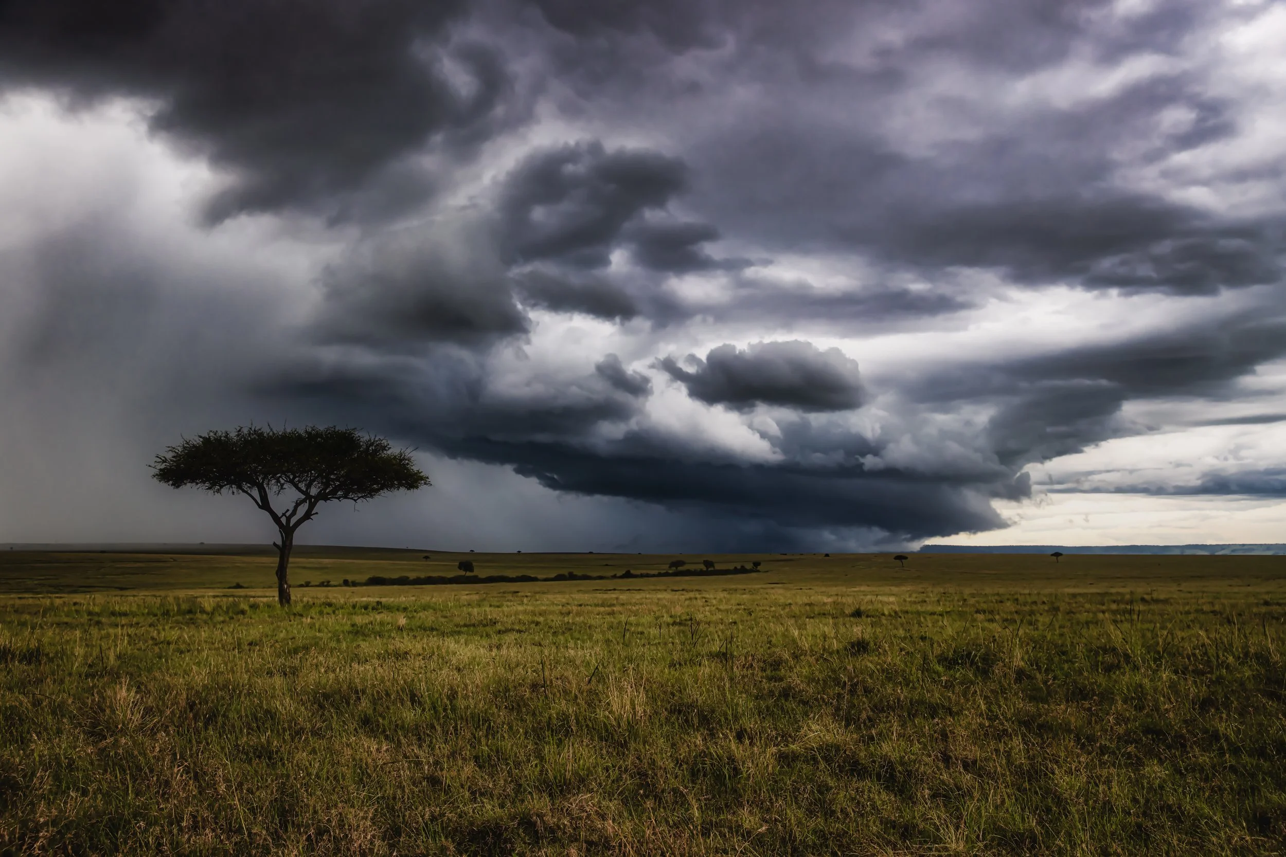 Mara Storms print