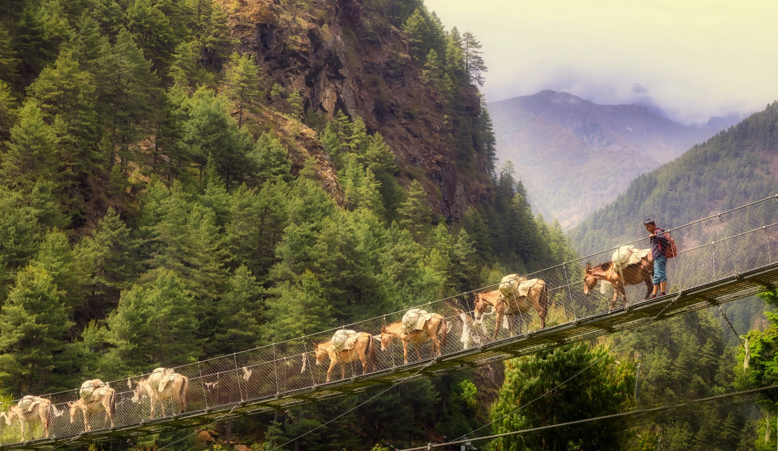 A farmer and pack animals crossing a suspension bridge